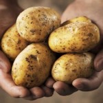Krompir-10-razloga-zasto-ga-volimo
