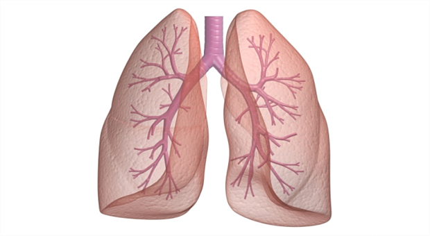 Prirodni lijek za tretiranje astme, bronhitisa, kašlja i problema s plućima! 