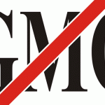No-GMO4