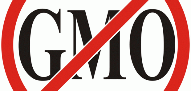 No-GMO4