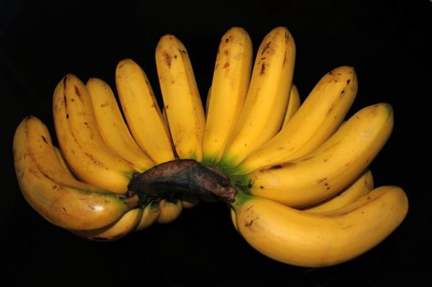 banane za tlak