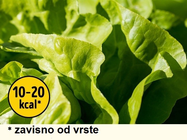 zelena-salata-8