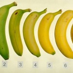 banane-f
