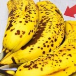 banane-foto