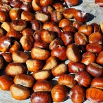 chestnut-4507908_640