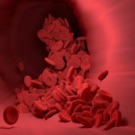 red-blood-cell-4256710_1280