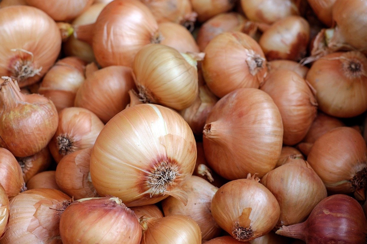 onions-1397037_1280