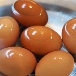 eggs-3891755_1280