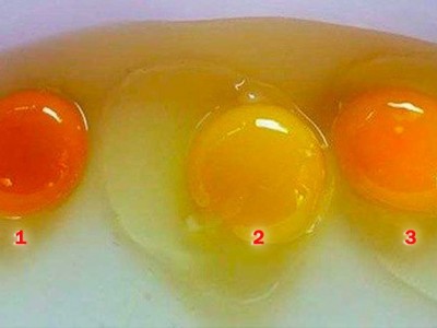 Pogodite koje jaje od ova tri sa slike dolazi od zdrave kokoške